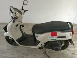 fazzio connected