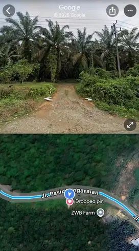 Dijual Kebun Sawit Produktif