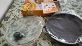Wajan Bulgogi anti gores
