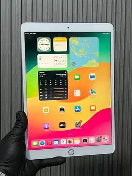 iPad Pro 10.5 Inch 256GB Wifi Only Resmi iBox