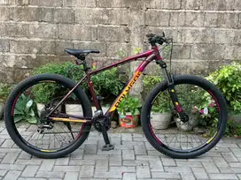 Polygon Premier 4 2021