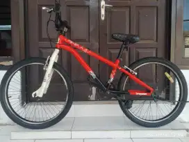 Wimcycle Dragster 24
