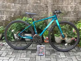 Polygon Path 2 Baru/New