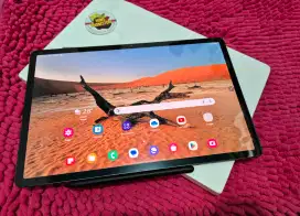 Galaxy Tab S9+ 5G 12/256Gb Gray Bening Istimewa