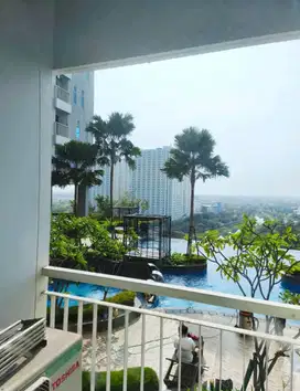Murah Selangkah Ke Pool‼️Lantai 2 Apartemen Amor Pakuwon City