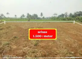 TANAH KEBUN MURAH DAN STRATEGIS DI DESA CIBEUTEUNG KECAMATAN CISEENG