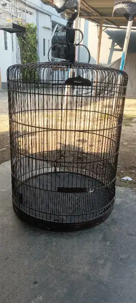 Sangkr burung Mb no.1