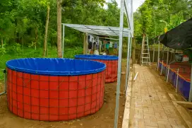 Kolam bioflok terpal orchid