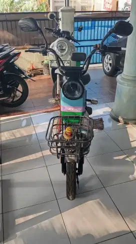 Selis type komodo