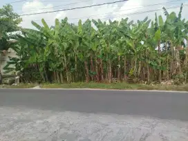 DISEWAKAN TANAH KOSONG
