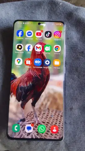 Bt tt samsung s21 ultra sein no minus