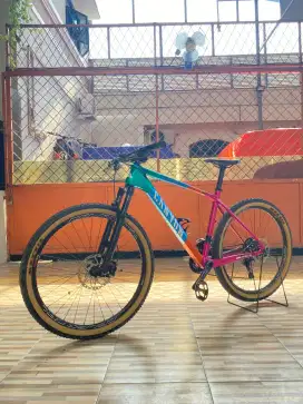 Pacific armour 600 carbon, TA boost