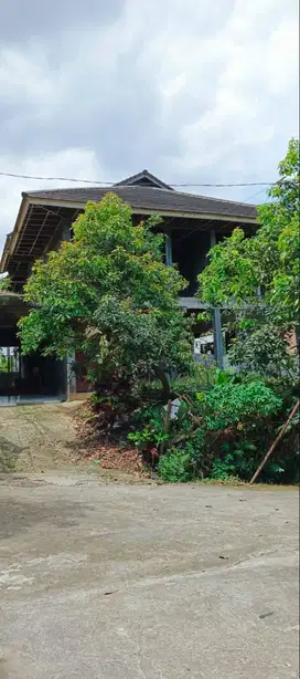 Dijual Cepat Tanah dan Rumah Bagus