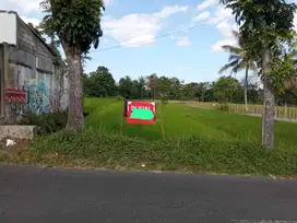 TANAH SAWAH DEPAN JL ASPAL LT 1.324M2 2,25JT/M DEKAT MALL SCH.13409