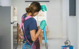 ART Asisten Rumah Tangga TKW
