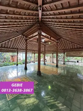 Rumah 1 Lantai Dijual Segera di Cluster Senayan Bintaro UT-14316