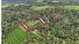 Tanah di ketinggian 600 MDPL los sungai view sawah cocok untuk villa