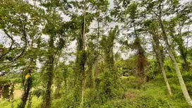 Dijual Murah Tanah 8801 m2 Bisa Bikin Akses Mobil di Bojong Purwakarta
