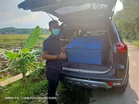 Mesin penetas telur otomatis