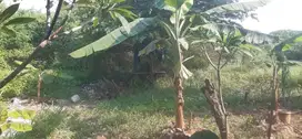 Dijual Tanah di Jl Raya Serang, Cikupa, Tangerang Banten