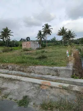 Tanah Jogja murah utara  dekat Sleman city Hall Mangku Jalan Aspal