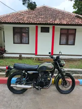 kawasaki w175 SE 2018
