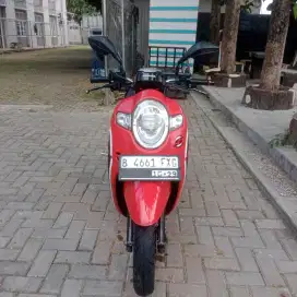 Scoopy donat 2019 mulus rawatan
