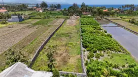 Tanah Murah Jalan Kaki ke Pantai Padang Legi Medahan Gianyar Bali