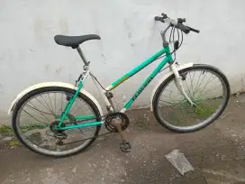 Federal ledy ukuran 26
