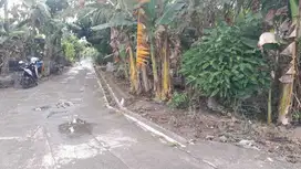 TANAH PEKARANGAN VIEW SAWAH HOOK 302M2 DKT KLURAHAN KEBONAGUNG.JK13415