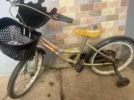 Sepeda Anak Anak