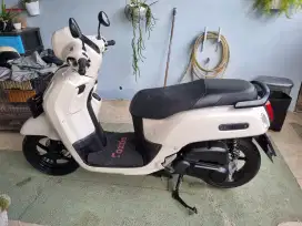 Yamaha Fazzio Warna Cream