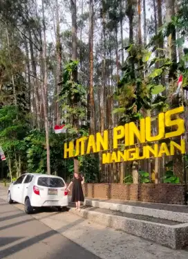 Kursus mengemudi belajar setir mobil manual matic jogja