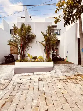 For Rent Villa Padonan Canggu