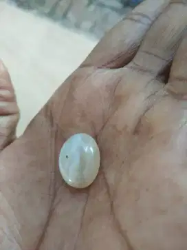 Baru putih susu