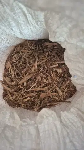 WOOD CHIP SERBUK KAYU KASAR GRADE A