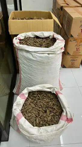 Di jual Kayu Gaharu Alami Premium Tabii & Muhassan ready kg / ton