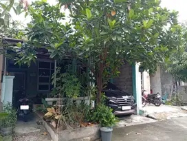 Rumah Seken LT 86 Asri 15 Menit ke Stasiun Bekasi Hadap Utara J-35844