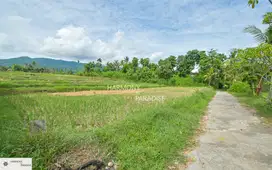 HP-NBL04 Tanah Sawah SHM, Dijual di Panji, Buleleng