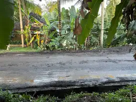 Jual Tanah 2,6 Are di Pejeng arah ke Ubud
