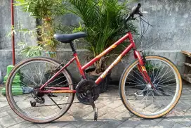 Mtb Polygon ori Lady uk 24