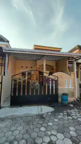 Disewakan sebuah rumah