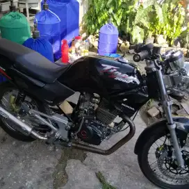 Honda tiger komplite plat hidup pajek telat 1 monggo doubel jring