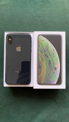 iPhone Xs 256Gb inter Mulus No Minus