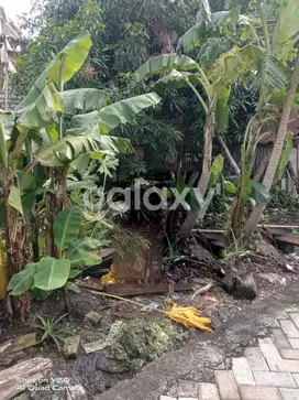 Tanah Kepatihan Gresik
