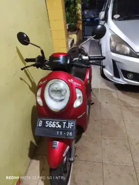Scoopy Stylish 2021