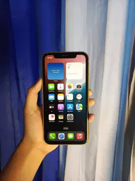 Iphone 11 Inter Fullset