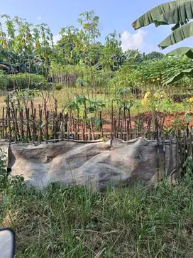 Dijual Lahan Strategis Cocok untuk Cluste