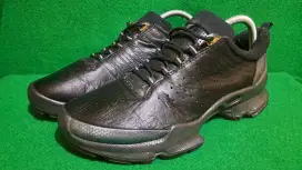 Ecco biom sepatu kulit size 40 insole 250