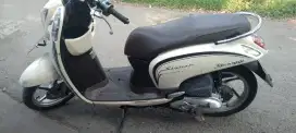 Honda Scoopy fi 2015 pajak on